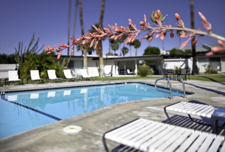 L'Horizon Resort&Spa Palm Springs Esterno foto